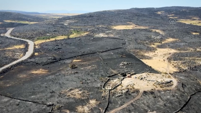 İspanya'da 22 bin hektarlık alan kül oldu